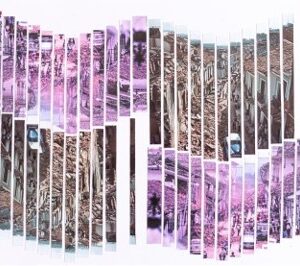 «FUTURE EARTHQUAKE #9» FELIPE MEJÍA MEDINA